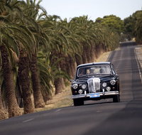Private Barossa Valley Winery Tour by Classic 1962 Daimler from the Barossa Valley