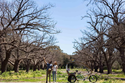 Adelaide 90-Minute Pedicab Tour: Scenic Green & River Experience - Attractions Perth 1