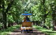 Adelaide 90-Minute Pedicab Tour: Scenic Green & River Experience - thumb 0