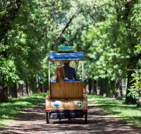 Adelaide 90-Minute Pedicab Tour Scenic Green  River Experience