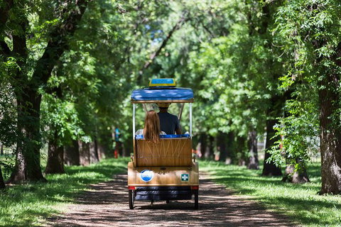 Adelaide 90-Minute Pedicab Tour: Scenic Green & River Experience - Attractions Perth 2