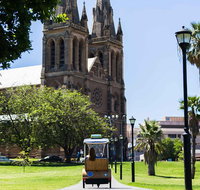 Adelaide 90-Minute Pedicab Tour City Sights Experience