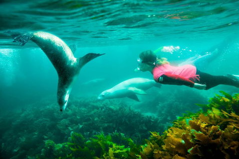 3 Day Port Lincoln And Coffin Bay Tour - Attractions Perth 12