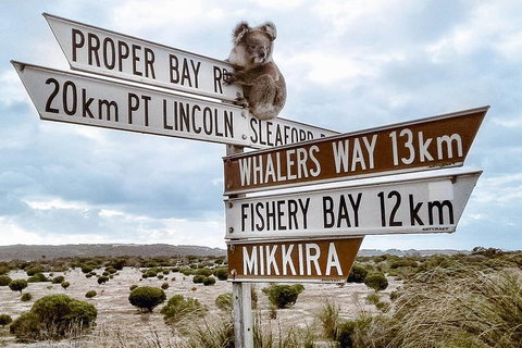 3 Day Port Lincoln And Coffin Bay Tour - Attractions Perth 14