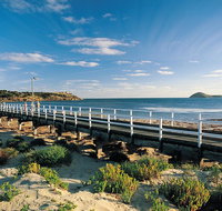Victor Harbor and Southern Highlights from Adelaide Including Lunch
