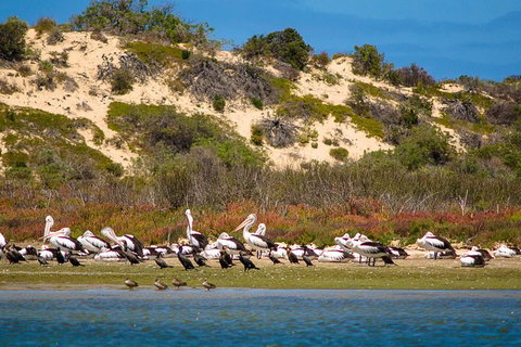 Murray Mouth Cruise - Attractions Perth 0