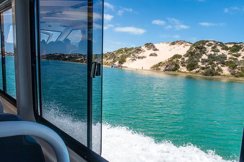 Murray Mouth Cruise - Attractions Perth 5