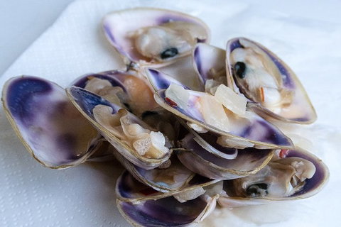 Coorong Adventure Cruise - Attractions Perth 6