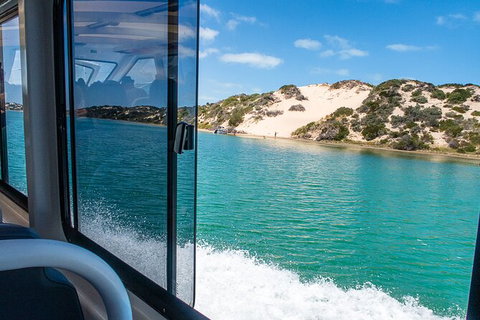 Coorong Adventure Cruise - Attractions Perth 4