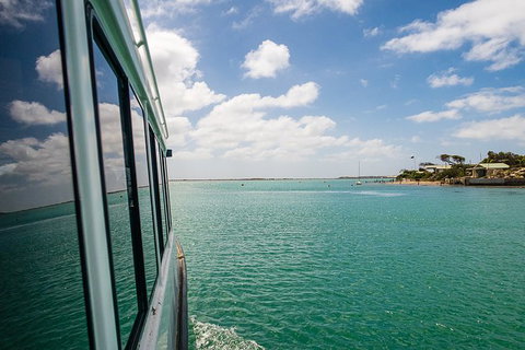 Coorong Adventure Cruise - Attractions Perth 3