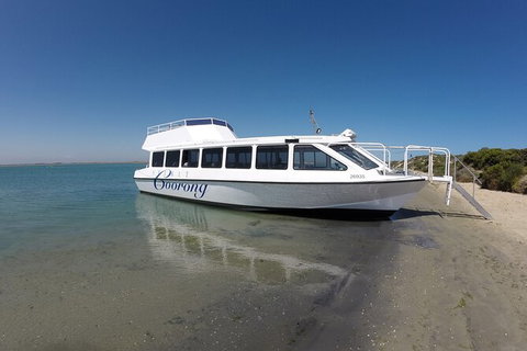 Coorong Adventure Cruise - Attractions Perth 10