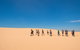 Coorong Adventure Cruise - thumb 9