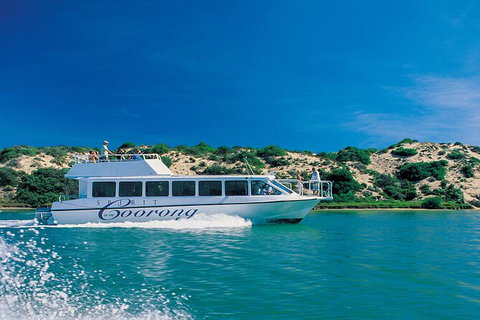 Coorong Adventure Cruise - Attractions Perth 7