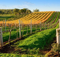 Victor Harbor with McLaren Vale Wine Region Tour from Adelaide