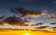 Adelaide Ocean Safari - Twilight Safari - thumb 1