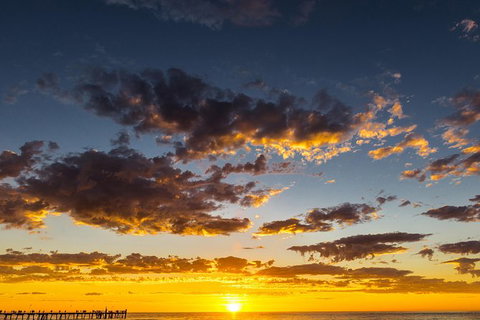 Adelaide Ocean Safari - Twilight Safari - Attractions Perth 1