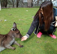 Adelaide Essentials Tour