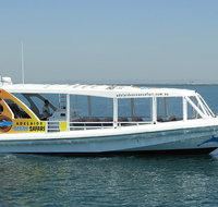 Adelaide Ocean Safari - Wild Dolphin Safari