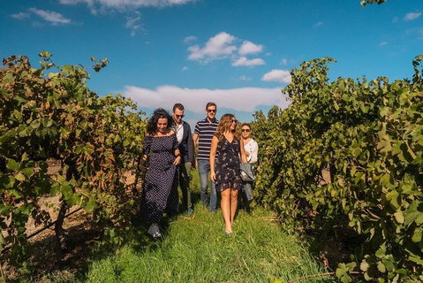 Barossa Valley Private Tour (from 2 To 11 People) - Attractions Perth 4