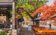 Private Tour 1-6 Passengers Wine Tasting & Or Sightseeing - thumb 11