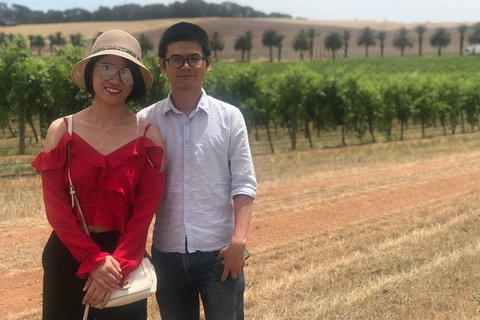 Private Tour 1-6 Passengers Wine Tasting & Or Sightseeing - Attractions Perth 6