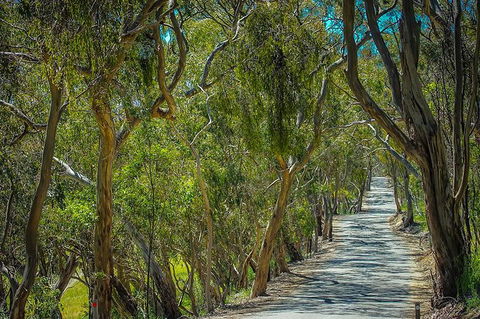 Get UnCorked In Clare Valley Tour From Adelaide - Attractions Perth 6