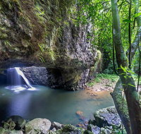 Springbrook andTamborine Rainforest Tour Incl Natural Bridge and Glow Worm Cave - Attractions Perth