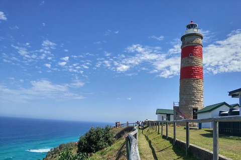 Cape Moreton Scenic 4WD Day Tour From Brisbane Or The Gold Coast - Attractions Perth 6