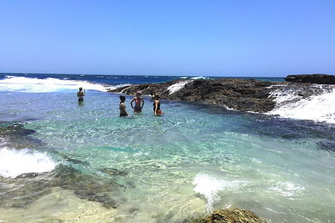 Cape Moreton Scenic 4WD Day Tour From Brisbane Or The Gold Coast - Attractions Perth 3