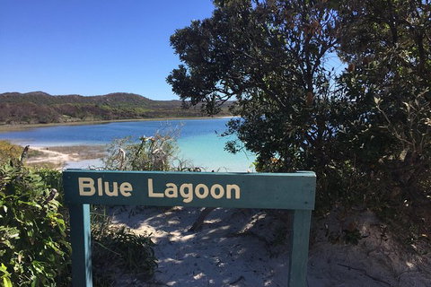 Cape Moreton Scenic 4WD Day Tour From Brisbane Or The Gold Coast - Attractions Perth 4