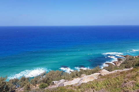 Cape Moreton Scenic 4WD Day Tour From Brisbane Or The Gold Coast - Attractions Perth 7