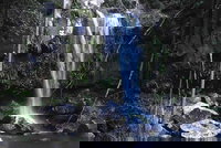 You Choose the Tour Brisbane Private Chauffeur Driven Personal Tour