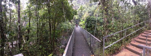Cape Tribulation, Mossman Gorge, And Daintree Rainforest Day Trip From Cairns Or Port Douglas - Attractions Perth 4