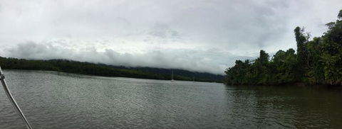 Cape Tribulation, Mossman Gorge, And Daintree Rainforest Day Trip From Cairns Or Port Douglas - Attractions Perth 3