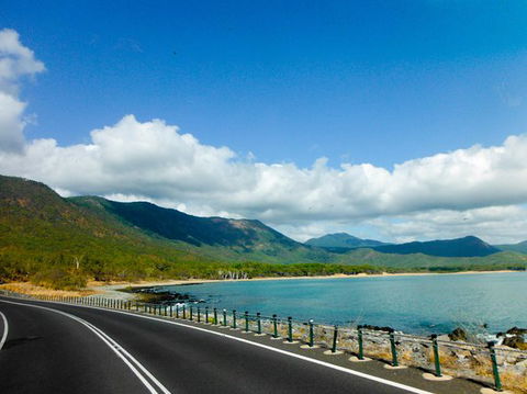 Cape Tribulation, Mossman Gorge, And Daintree Rainforest Day Trip From Cairns Or Port Douglas - Attractions Perth 11