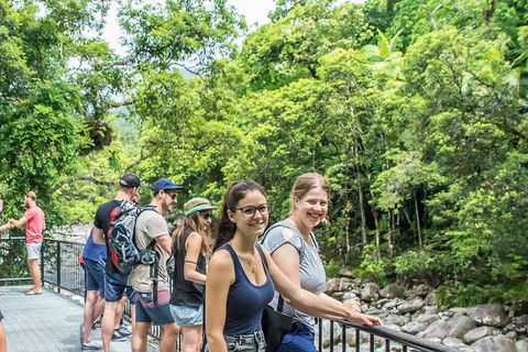 Cape Tribulation, Mossman Gorge, And Daintree Rainforest Day Trip From Cairns Or Port Douglas - Attractions Perth 15
