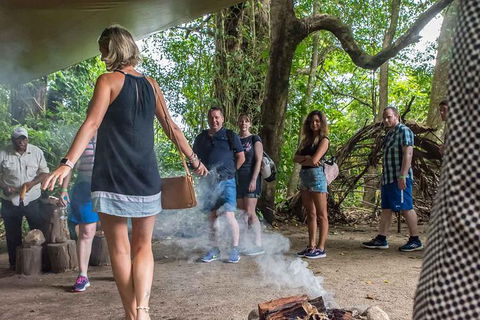 Cape Tribulation, Mossman Gorge, And Daintree Rainforest Day Trip From Cairns Or Port Douglas - Attractions Perth 13