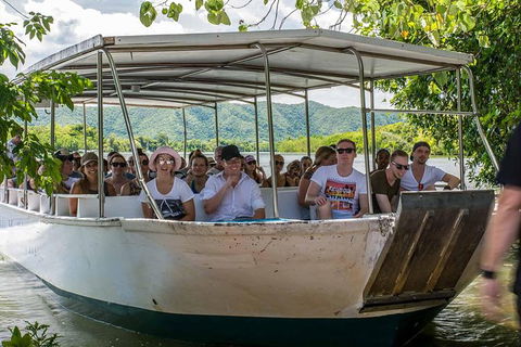 Cape Tribulation, Mossman Gorge, And Daintree Rainforest Day Trip From Cairns Or Port Douglas - Attractions Perth 8