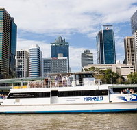 Lone Pine Koala Sanctuary Admission with Brisbane River Cruise - Attractions Perth