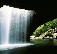 World Heritage Springbrook National Park Tour Including Natural Bridge - Attractions Perth