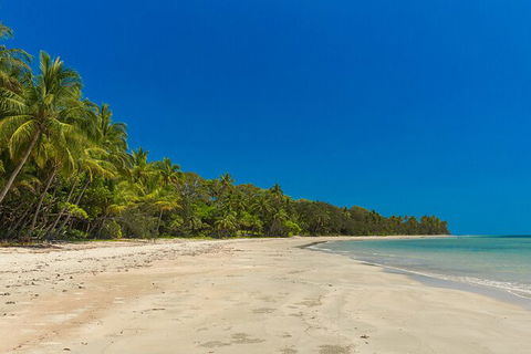 Ocean Safari Great Barrier Reef Experience In Cape Tribulation - Attractions Perth 3