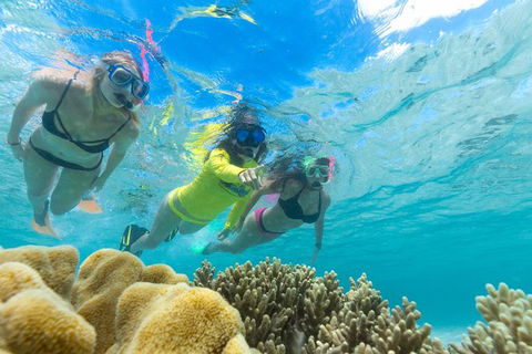 Ocean Safari Great Barrier Reef Experience In Cape Tribulation - Attractions Perth 4