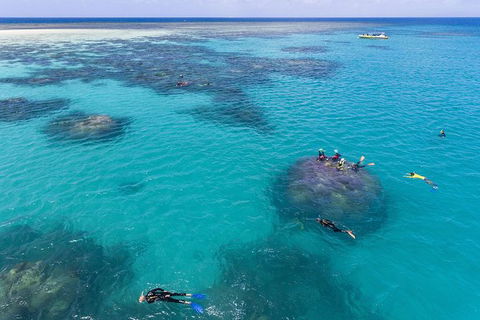 Ocean Safari Great Barrier Reef Experience In Cape Tribulation - Attractions Perth 12