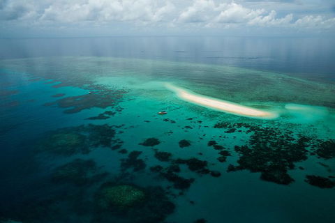 Ocean Safari Great Barrier Reef Experience In Cape Tribulation - Attractions Perth 16