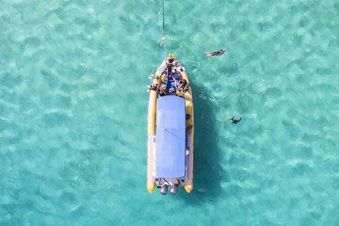 Ocean Safari Great Barrier Reef Experience In Cape Tribulation - Attractions Perth 17