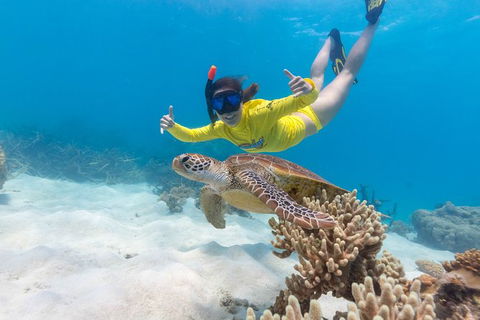 Ocean Safari Great Barrier Reef Experience In Cape Tribulation - Attractions Perth 13