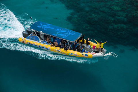 Ocean Safari Great Barrier Reef Experience In Cape Tribulation - Attractions Perth 9