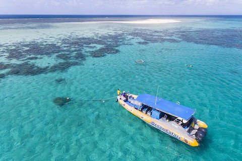 Ocean Safari Great Barrier Reef Experience In Cape Tribulation - Attractions Perth 11