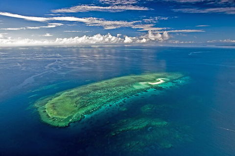 Ocean Safari Great Barrier Reef Experience In Cape Tribulation - Attractions Perth 15