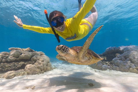 Ocean Safari Great Barrier Reef Experience In Cape Tribulation - Attractions Perth 2